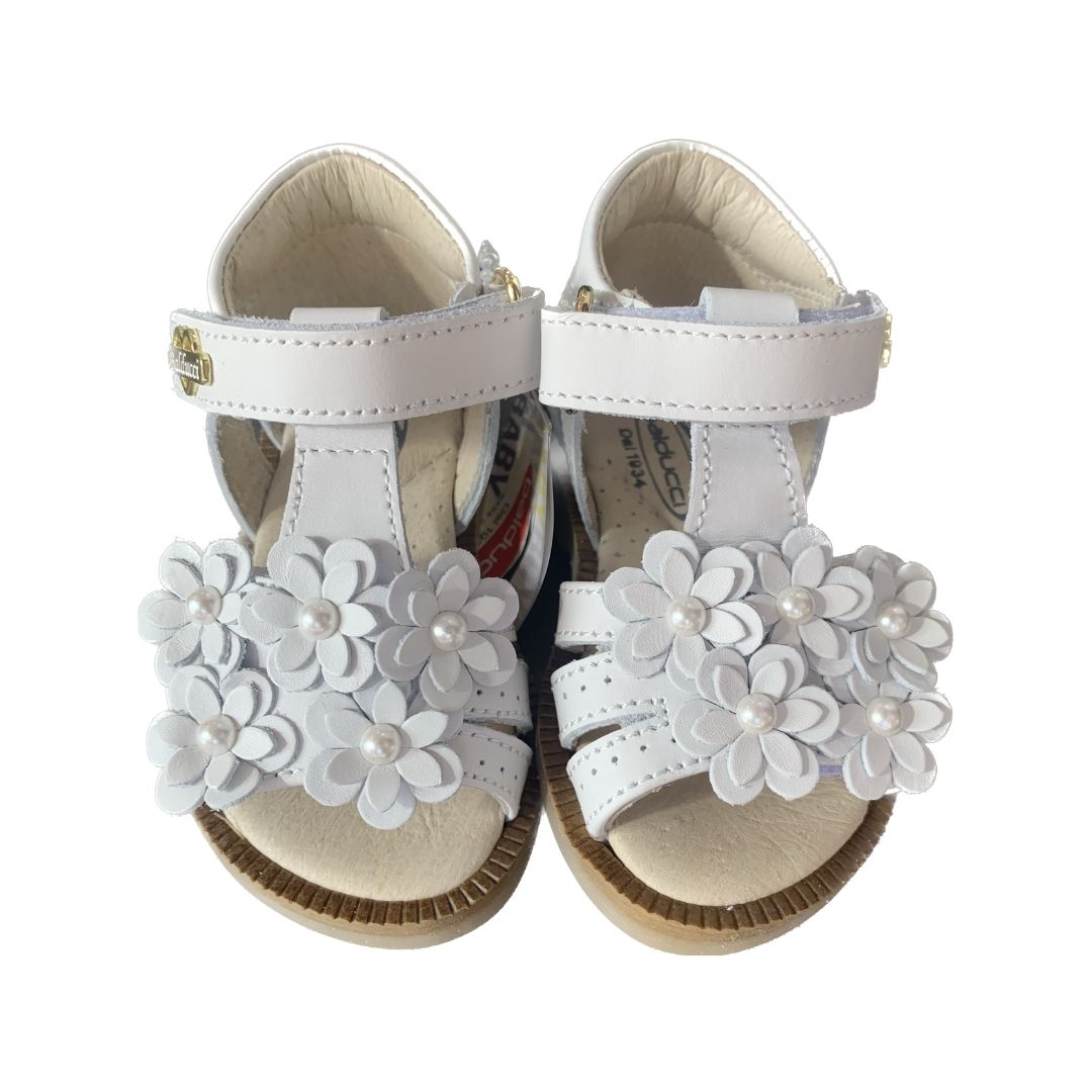 CITA6000 - Scarpe - Balducci