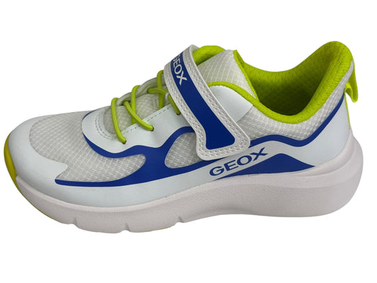 J65p7f - Scarpe - Geox