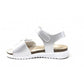 lk1504 poppy - Scarpe - LELLI KELLY